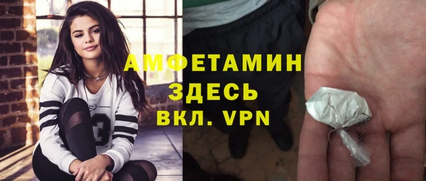 сатива Баксан