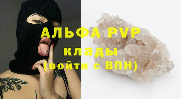 сатива Баксан