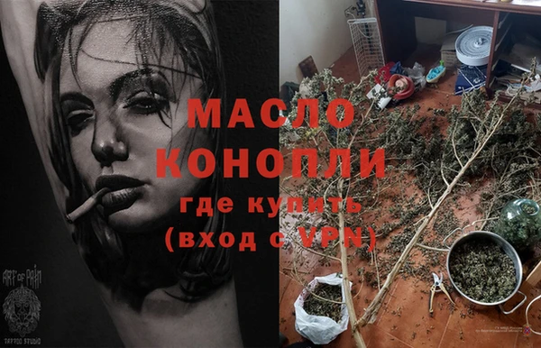 сатива Баксан